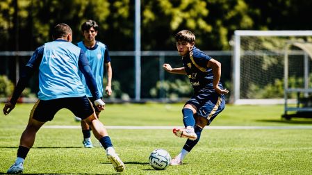 Fuerzas básicas de Pumas