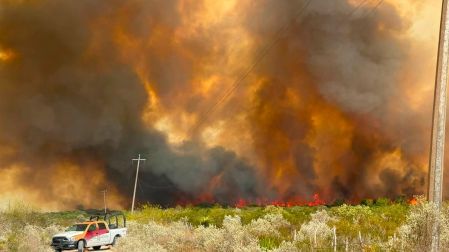 Incendio afecta mil hectáreas de pastizal en el municipio de Jiménez, Tamaulipas