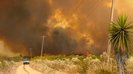 Incendio afecta mil hectáreas de pastizal en el municipio de Jiménez, Tamaulipas