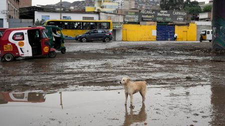 Perú se prepara para un fenómeno de El Niño "extraordinario" que se extenderá desde fines de este año hasta inicios del próximo, según reportes climáticos.