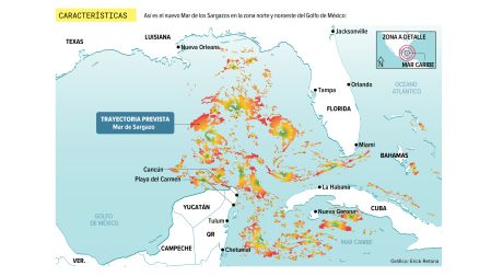 Especialistas prevén que el nuevo Mar de los Sargazos del Golfo de México seguirá aumentando paulatinamente de tamaño.