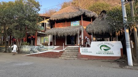 La Ventanilla, en Santa María Tonameca, Oaxaca, es un proyecto exitoso de conservación que, tras años de matanza de la tortuga marina, explotación de la piel de cocodrilo y depredación de sus recursos, pasó a salvaguardar a más de 300 reptiles.