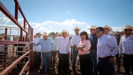 SOnora
