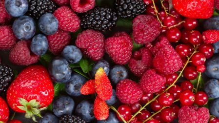 México incrementa 2% sus exportaciones de frutos rojos y mantiene liderazgo mundial.