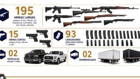 Fueron aseguradas 210 armas de fuego