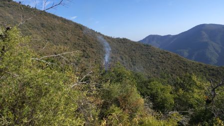 Elementos de la Brigada Fénix se trasladaron al lugar para atacar el siniestro por aire y tierra.