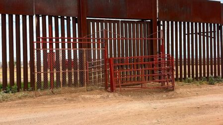 El presidente de la Unión Ganadera Regional de Sonora, Juan Ochoa, explicó que la infraestructura actual no estaba acondicionada para el manejo de animales de gran peso.