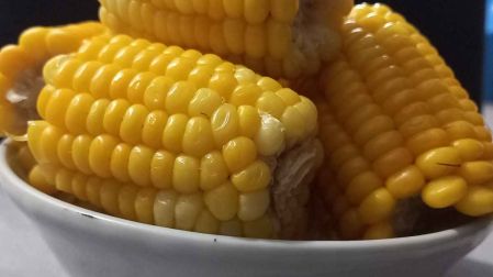 Cómo cocer elotes en olla exprés