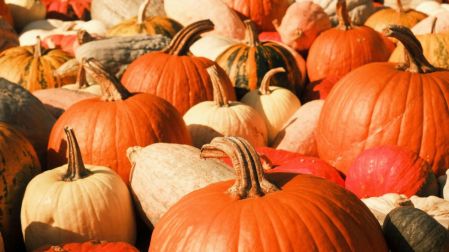 Pumpkin Fest México 2026: actividades, fechas, horarios y boletos