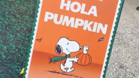 ¿Dónde está el Starbucks de Snoopy en CDMX?