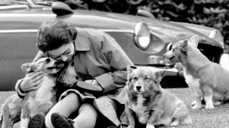 Susan fue la perrita que dio origen a una dinastía de corgis reales que se prolongó durante décadas.
