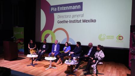 Instituto Goethe México