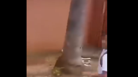 En Mazatlán, Sinaloa...