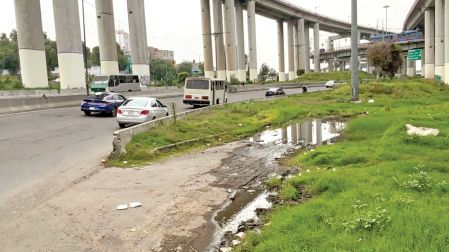 La hierba y malas condiciones de la vialidad afectan la visibilidad de los conductores.