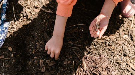 Plantas para reemplazar el pasto y mantener tu jardín verde