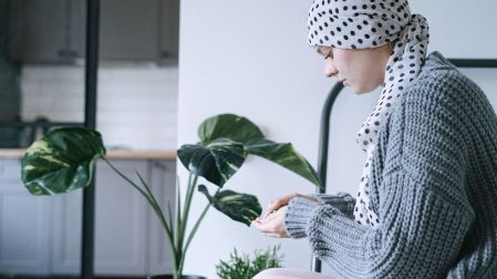 Plantas medicinales para la circulación: ¿cuáles son y son seguras?