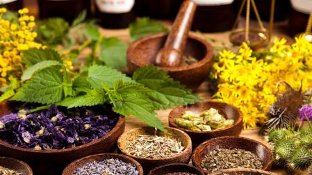 Plantas medicinales para la circulación: ¿cuáles son y son seguras?
