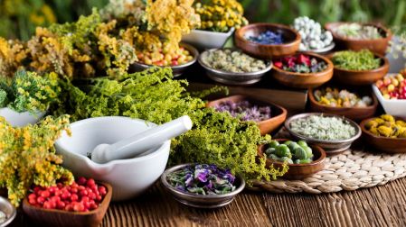 Plantas medicinales para la circulación: ¿cuáles son y son seguras?
