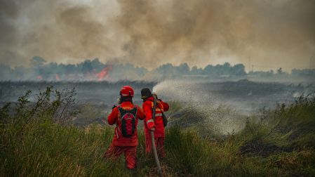Firefighters from Indonesia's specialised peatland wildfire tactical unit, Manggala Agni, direct a high-pressure water stream at a burning area in a vast field of tall dry grass in Ogan Ilir, South Sumatra province on September 25, 2026. Low visibility caused by persistent forest fires has hampered both commercial air travel and aerial firefighting operations across the province. (Photo by AL ZULKIFLI / AFP)