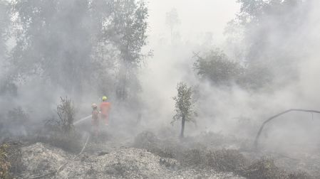 Firefighters extinguish forest and land fires in Banjar, South Kalimantan, on September 21, 2026. Toxic haze has shrouded parts of Indonesia, Malaysia and Singapore for weeks as Jakarta struggles to contain fires that have scorched large tracts of Borneo and Sumatra, with the smoke drifting across the region. (Photo by MUDA SAGALA / AFP)
