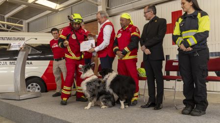 Perros rescatistas, Border Collie, Cruz Roja, emergencia
