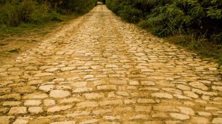 Yellow Brick Road