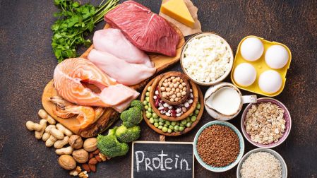 Las proteínas participan en la formación y reparación de tejidos
