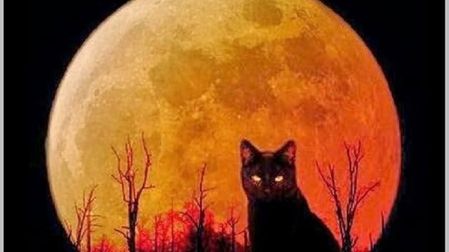 El gato negro es uno de los cuentos más famosos de Edgar Allan Poe.