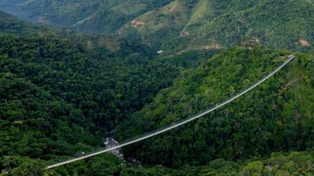 El Jorullo Bridge es uno de los atractivos más emblemáticos de la región y ofrece una experiencia que combina vistas panorámicas, recorridos todoterreno y la emoción de cruzar una estructura suspendida sobre la vegetación.