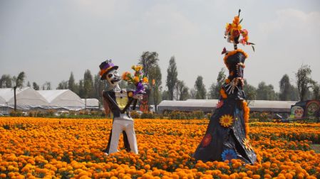 Los barrios de Tláhuac, Xochimilco y los pueblos de San Luis Tlaxialtemalco, San Gregorio Atlapulco, Santiago Tepalcatlalpan y Santiago Tulyehualco son las principales zonas de cultivo.