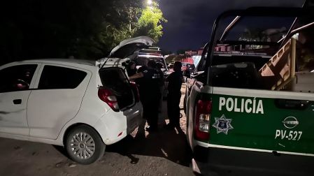 Por primera vez, detienen y procesan a saqueadores de tortuga Casquito de Vallarta