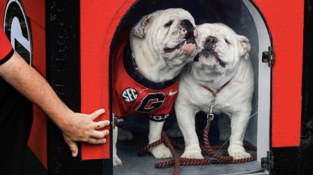 Así es la caseta de Uga a nivel cancha durante los partidos de los Bulldogs de Georgia como local