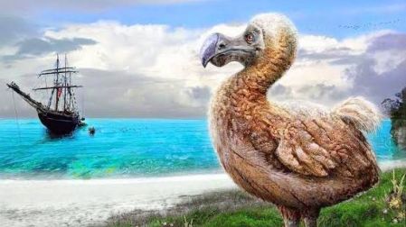 Los dodos no mostraban temor hacia los humanos porque nunca habían tenido contacto con ellos.