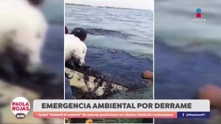Se reportó una emergencia ambiental por el derrame de hidrocarburos en el sur de #Veracruz. Las playas fueron cerradas de manera preventiva.

#PaolaRojasDPC 

De Pisa y Corre con Paola Rojas de lunes a viernes a las 8:00 am por Imagen Televisión. 

Visita también nuestra página www.imagentv.com

O en las redes De Pisa y Corre: 

Instagram: https://www.instagram.com/depisaycorretv
TikTok: www.tiktok.com/@depisaycorretv  
X: https://x.com/PisayCorreTV 
Facebook: https://facebook.com/depisaycorretv

O en nuestras redes de Imagen Noticias:

Instagram: https://www.instagram.com/imagentvnoticias
TikTok: https://www.tiktok.com/@imagennoticias   
X: https://x.com/imagentvmex 
Facebook: https://facebook.com/ImagenTVNoticias

¡Déjanos tus comentarios, da like, comparte y suscríbete!
