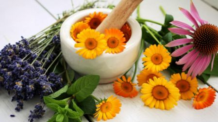 Tratamientos naturales para la menopausia: ¿Qué tan efectivos son?