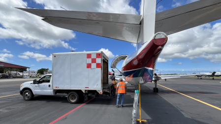 Las hieleras son enviadas en avión a Tamaulipas para que una vez que emerjan las moscas ya a temperatura ambiente sean liberadas en el noroeste del país.
