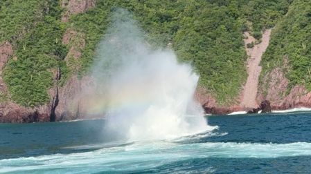 : El ex buque ARM “Cora” fue hundido frente a Punta Juluapan para integrarse al Sistema Arrecifal Artificial de Colima y convertirse en un nuevo hábitat para especies marinas.