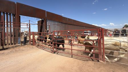 La Estación Cuarentenaria de Agua Prieta retomará las exportaciones el próximo martes, luego de limpiar y desinfectar sus instalaciones