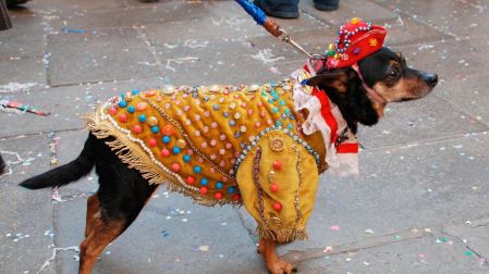 Chiwinity 2026 celebra el Día de Muertos con tu perrito chihuahua en CdMx