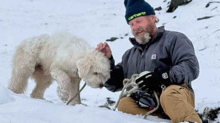 Rescatan a perrita que sobrevivió 50 horas perdida en Alaska