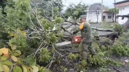 El operativo se activó en Baja California, Colima, Guerrero, Jalisco, Michoacán, Nayarit, Sonora y Veracruz.