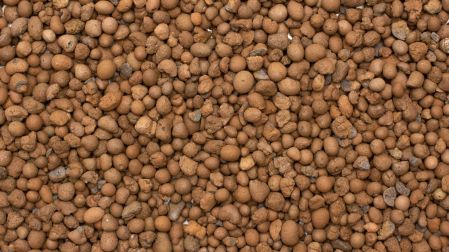 ¿Qué es la Leca para plantas?