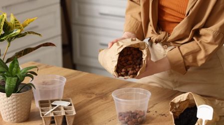 ¿Qué es la Leca para plantas?