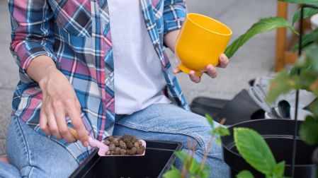 ¿Qué es la Leca para plantas?