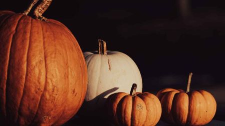 ¿Las calabazas mini de Halloween se comen?
