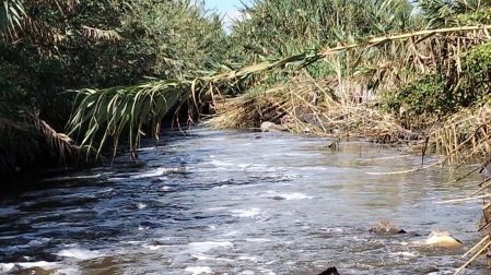 Inmediaciones del río Salado en Tezontepec de Aldama