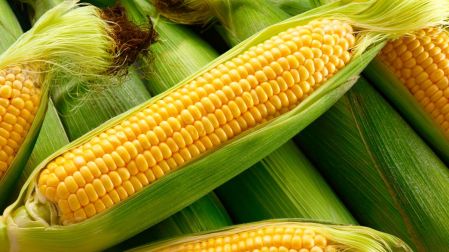 Receta de atole de elote.