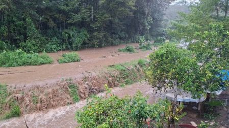 Las fuertes lluvias también impactaron la prestación de servicios básicos. En el municipio de Paso del Macho, la Oficina Operadora de Agua suspendió el funcionamiento de las bombas de captación.