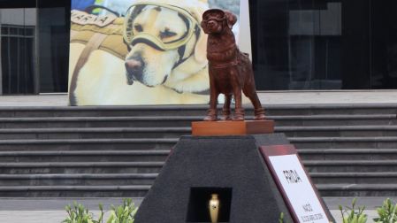 Frida, la icónica perrita rescatista de la Semar con su visor y botas, cuyo legado sigue inspirando a los binomios caninos a 60 años del Plan Marina.