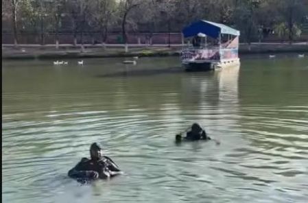 Sus compañeros de escuela lo incitaron a realizar dicho reto, tras los hechos, alertaron a los cuerpos de emergencia y después huyeron del lugar.